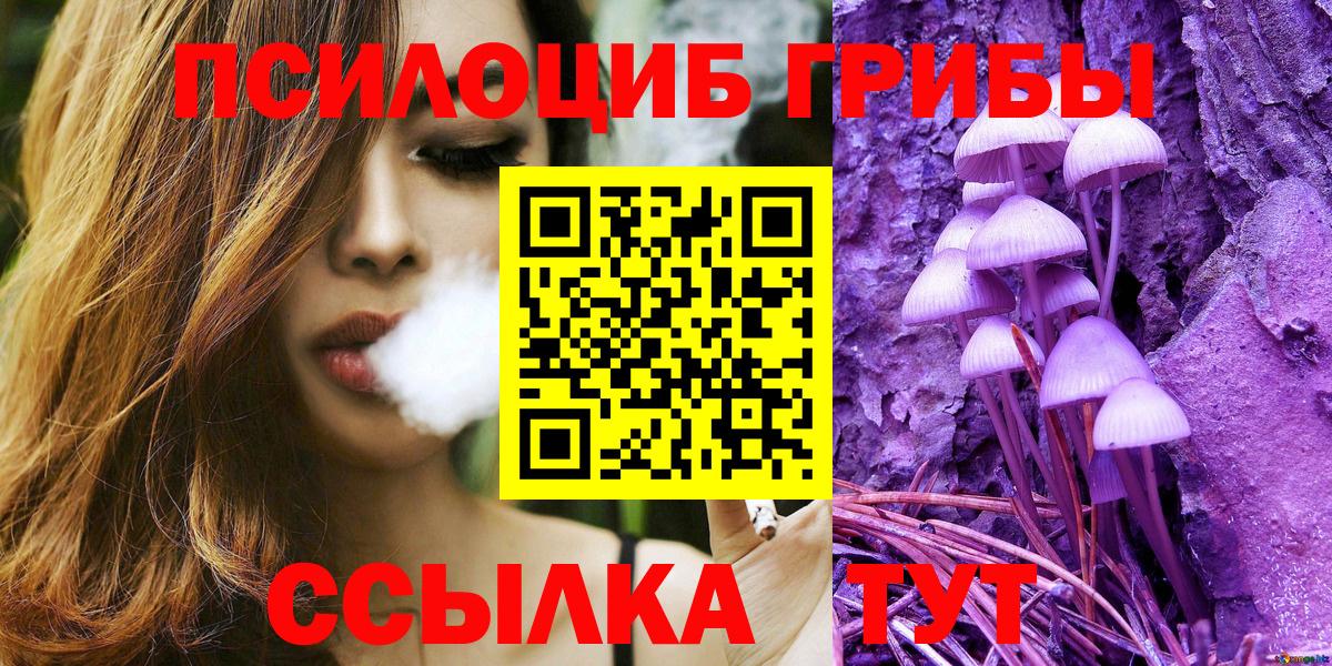 Галлюциногенные грибы Magic Shrooms Мурманск