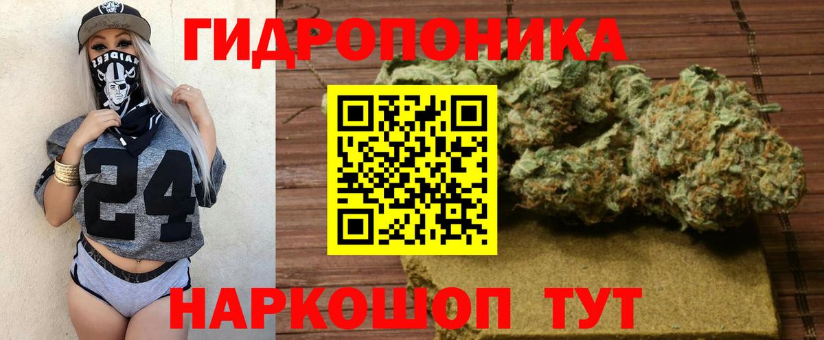 Шишки марихуана White Widow Мурманск